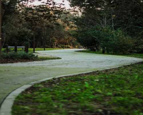 A beautiful tranquil pathway in a green park for morning walks